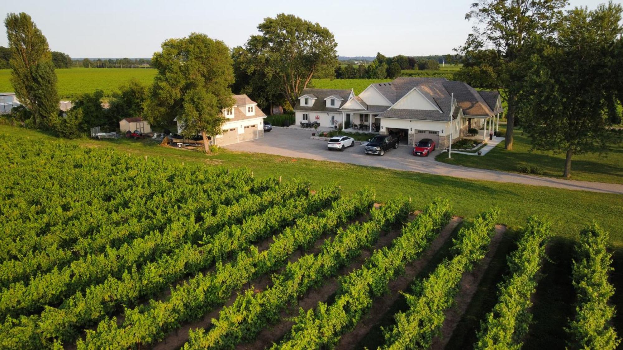 Villa In The Vines Niagara-on-the-Lake Εξωτερικό φωτογραφία